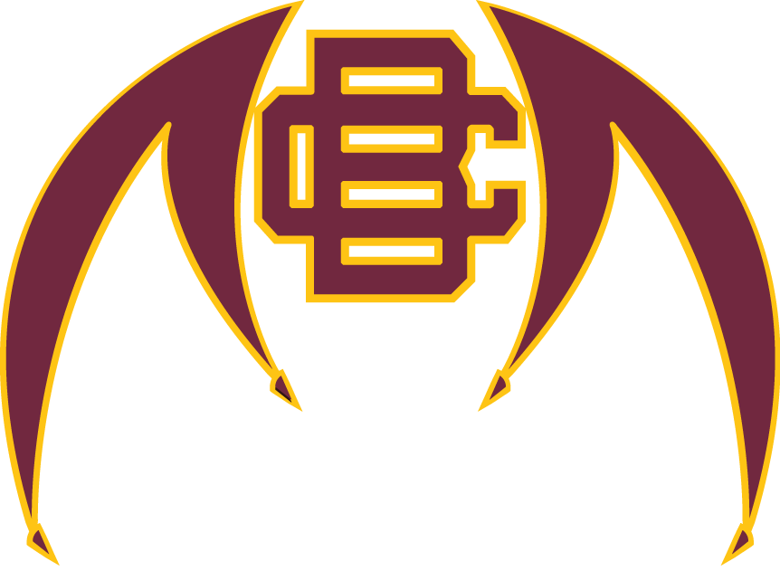 Bethune-Cookman Wildcats 2010-Pres Alternate Logo v2 diy fabric transfer